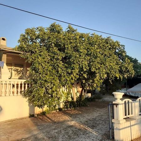 Srecko Apartman Rogoznica  Luaran gambar