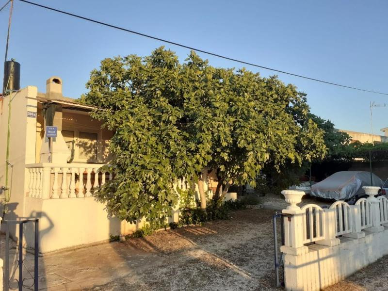 Srecko Apartman Rogoznica  Luaran gambar